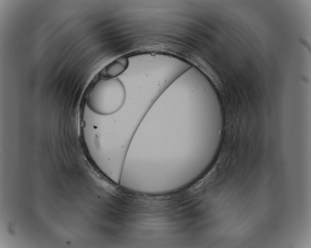 X0000091341036200708311452