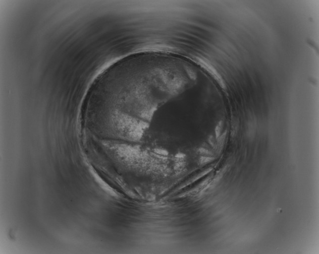 X0000091341037200708311452