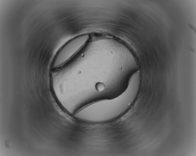 X0000091341038200708311452