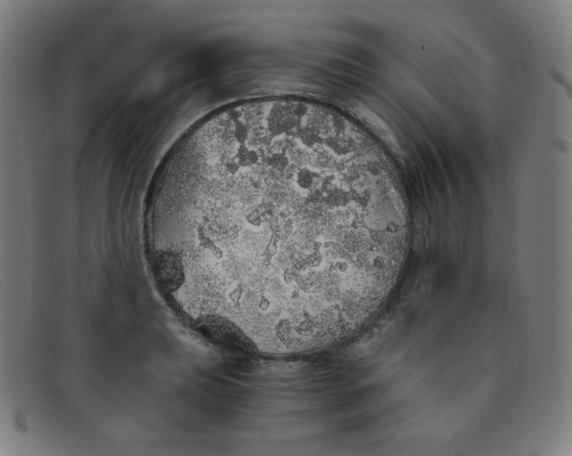 X0000091341039200708311452