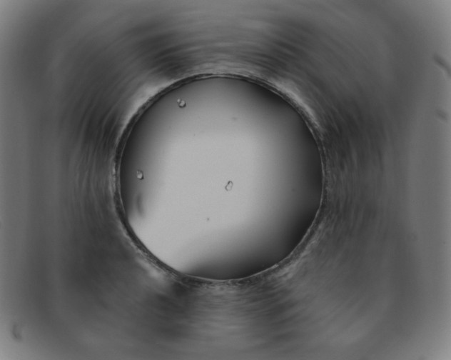 X0000091341040200708311452