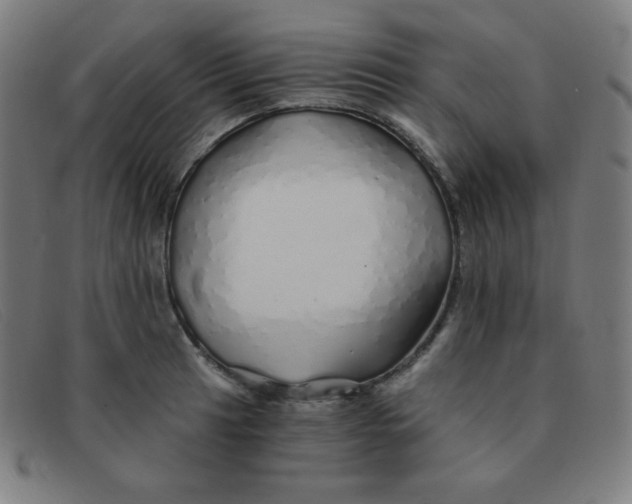 X0000091341041200708311452