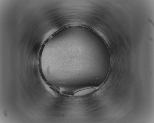 X0000091341042200708311452