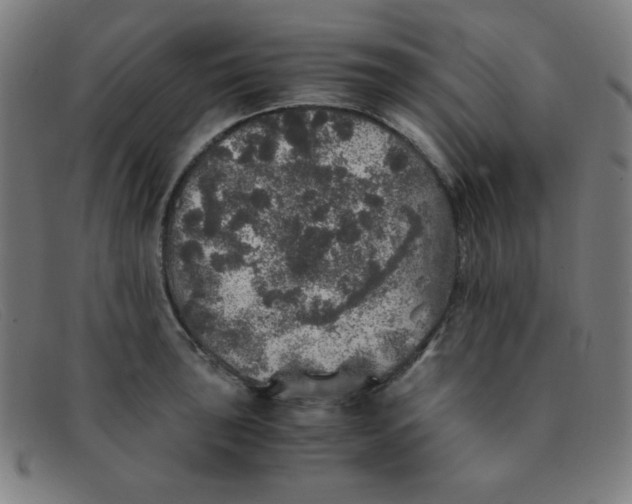 X0000091341043200708311452