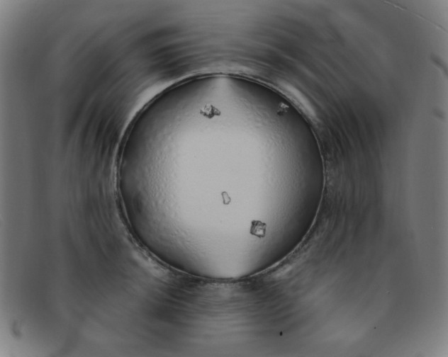 X0000091341044200708311452