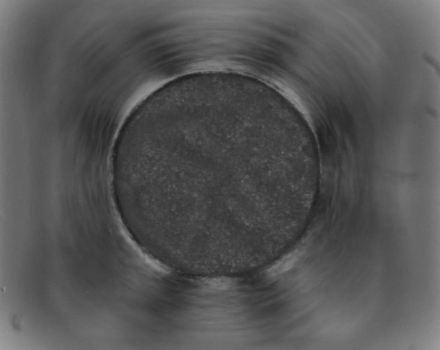 X0000091341045200708311452