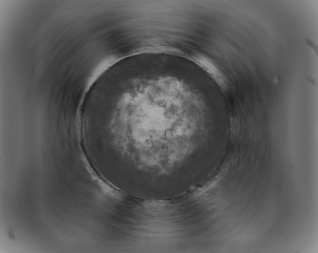 X0000091341046200708311452