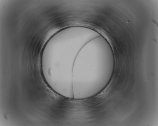 X0000091341048200708311452