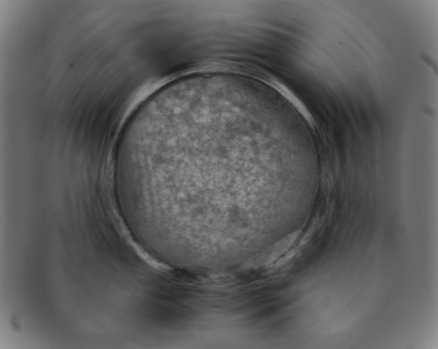 X0000091341053200708311452