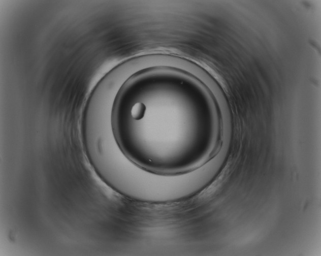 X0000091341054200708311452