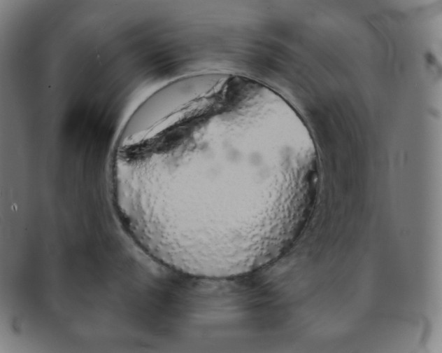 X0000091341056200708311452