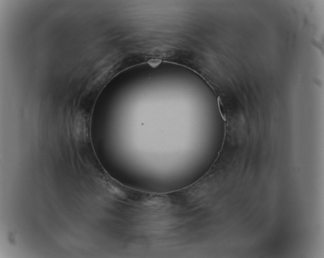 X0000091341058200708311452