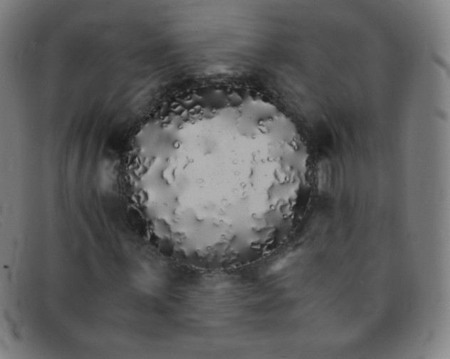 X0000091341059200708311452