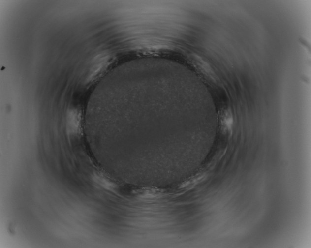 X0000091341060200708311452