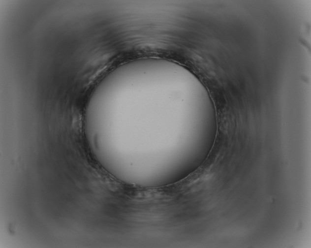 X0000091341061200708311452