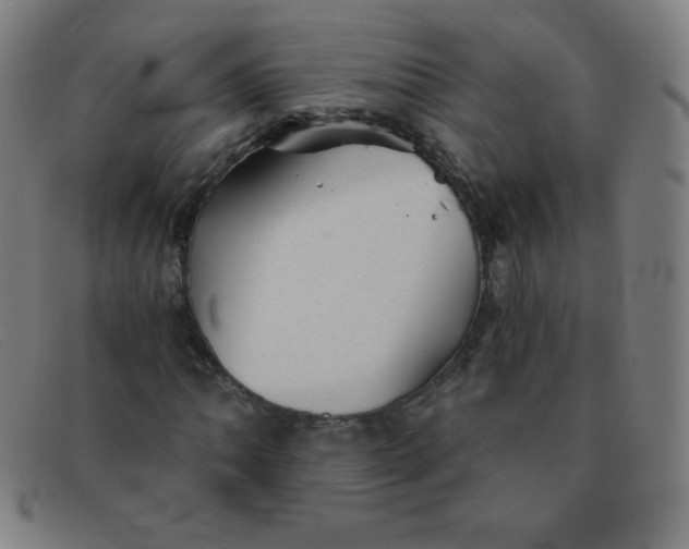 X0000091341062200708311451