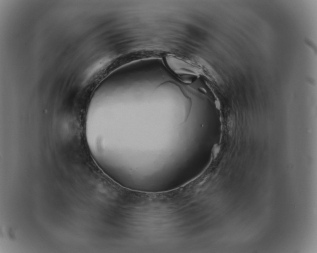 X0000091341064200708311451