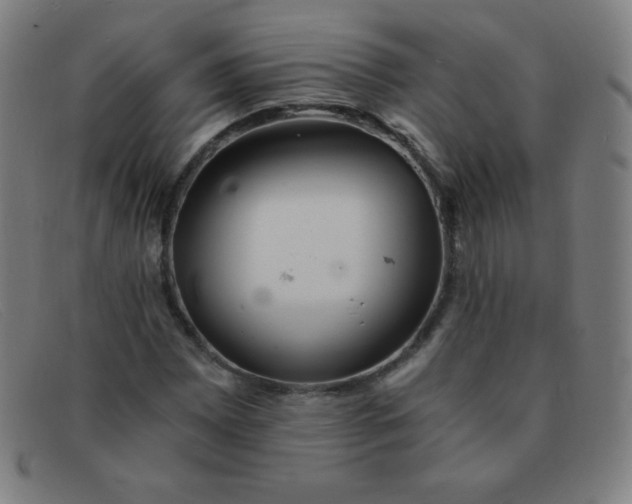 X0000091341065200708311451