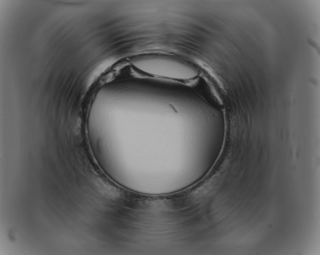 X0000091341066200708311451