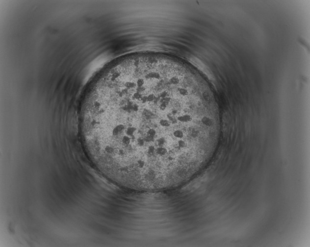 X0000091341067200708311451