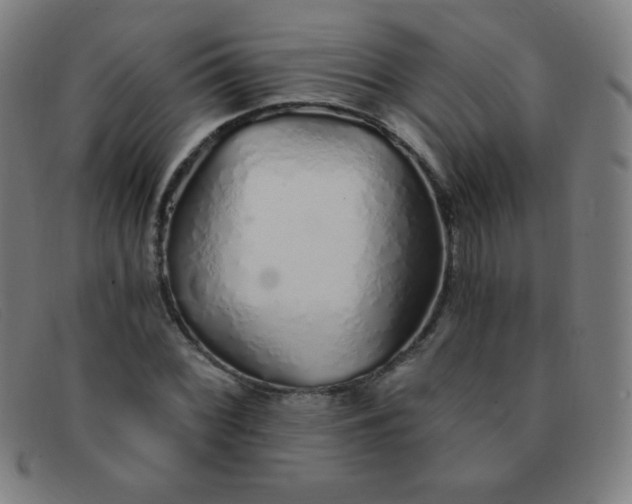 X0000091341068200708311451