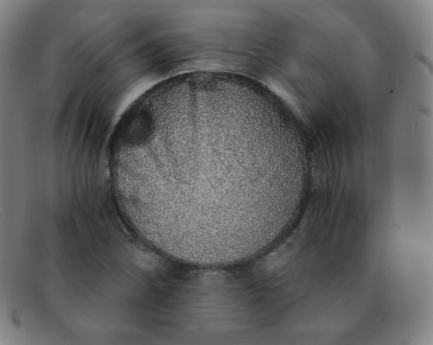 X0000091341070200708311451