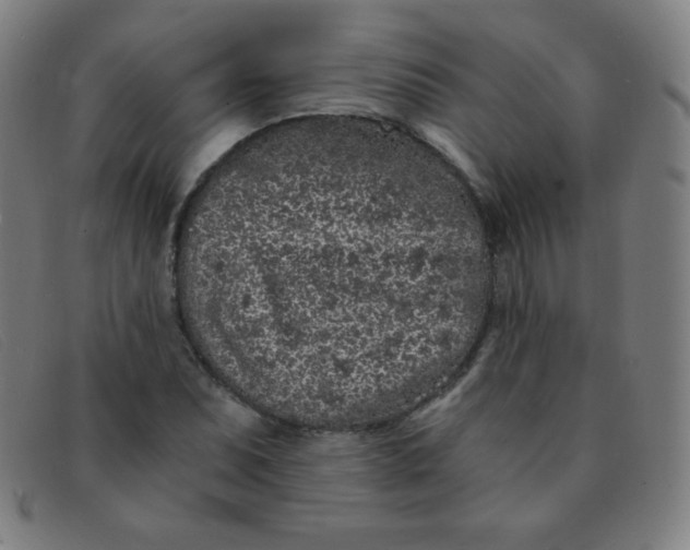 X0000091341071200708311451