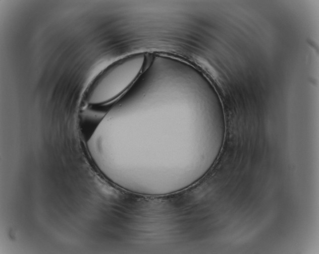 X0000091341072200708311451