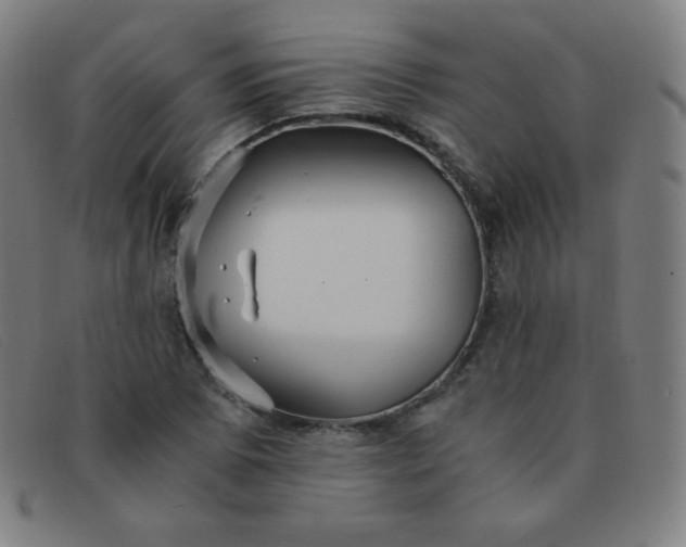 X0000091341073200708311451