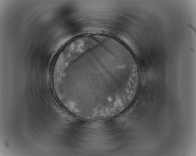 X0000091341074200708311451