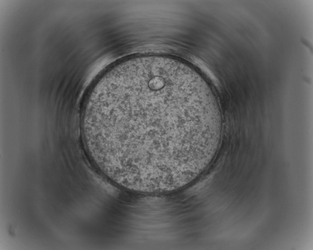 X0000091341075200708311451