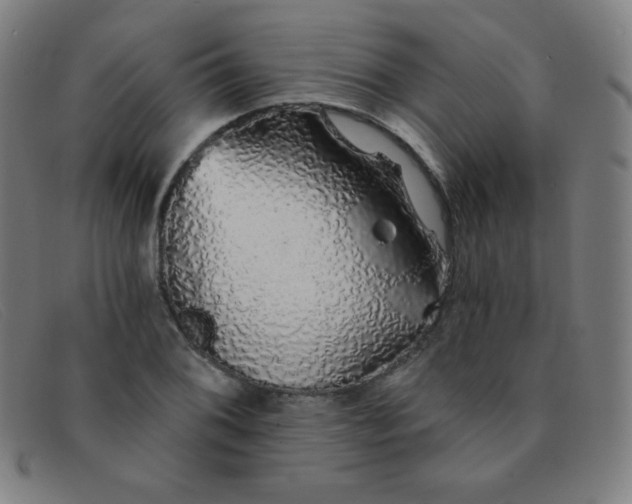 X0000091341076200708311451