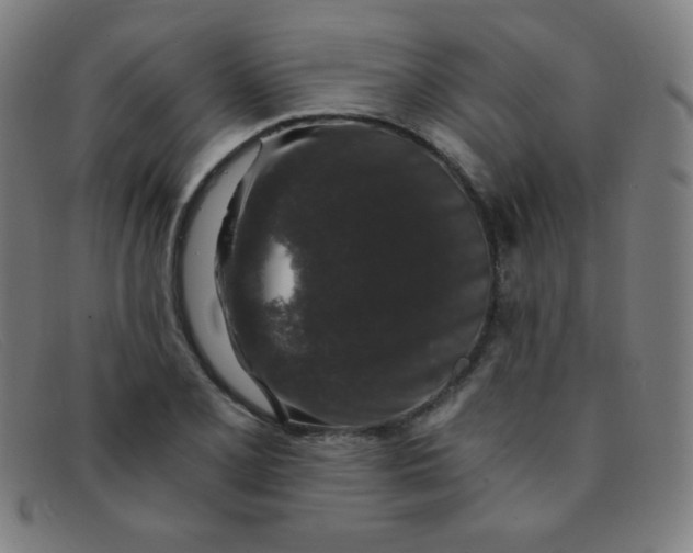 X0000091341077200708311451