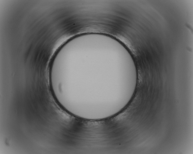 X0000091341078200708311451