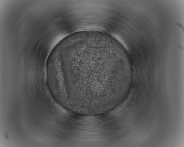 X0000091341079200708311451