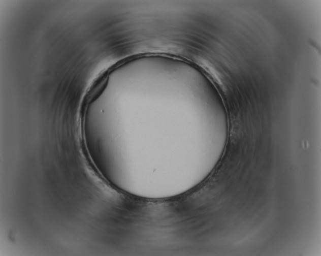 X0000091341080200708311451