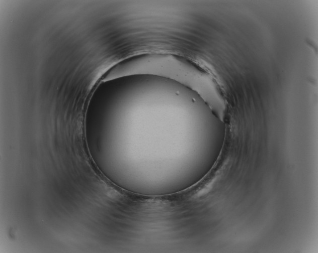 X0000091341081200708311451