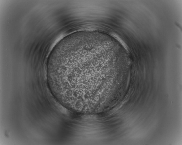 X0000091341083200708311451