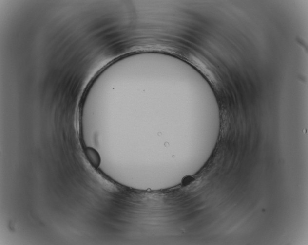 X0000091341084200708311451