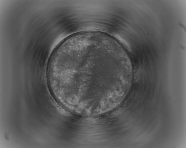 X0000091341086200708311451