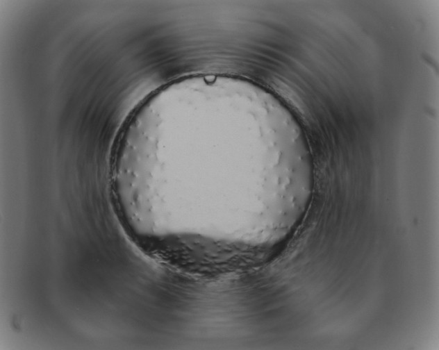 X0000091341087200708311451