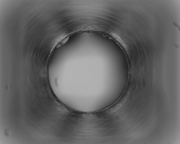 X0000091341089200708311451