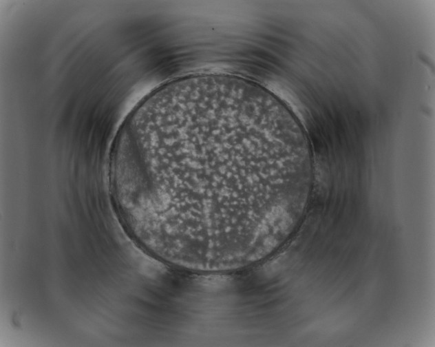 X0000091341090200708311451