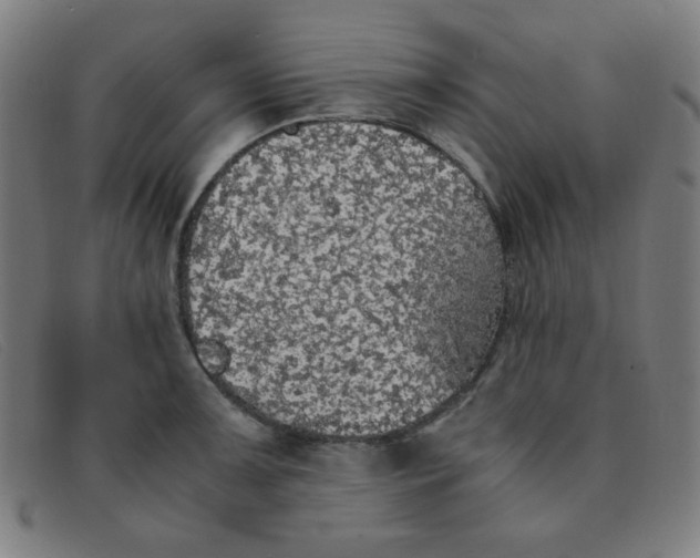 X0000091341091200708311451