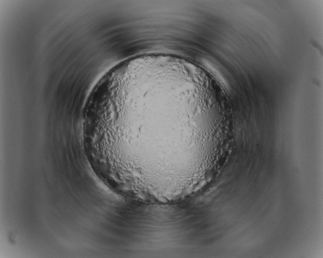 X0000091341092200708311451