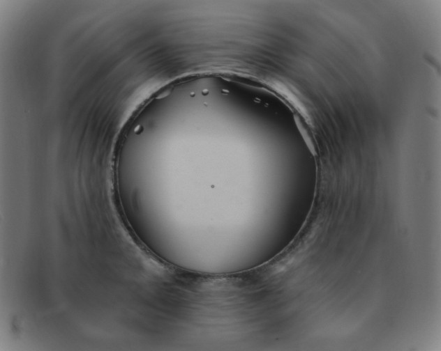 X0000091341093200708311451