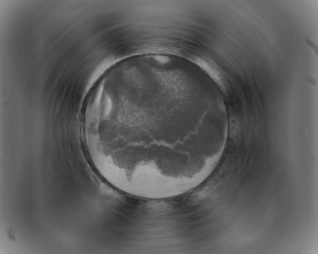 X0000091341094200708311451