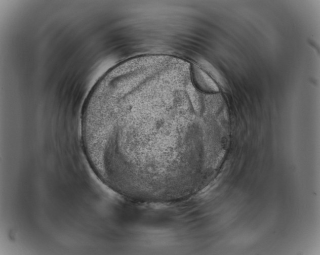 X0000091341095200708311451