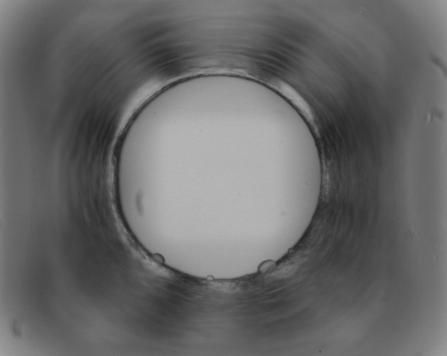 X0000091341096200708311451