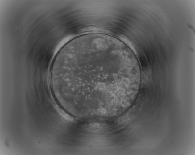 X0000091341098200708311451